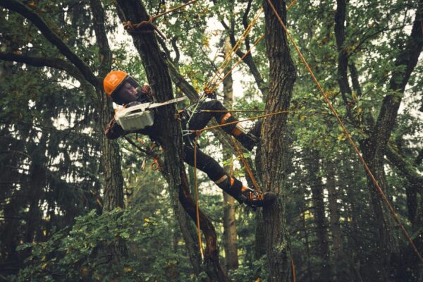 MSA 190 T Cordless Chainsaw - AP System - Image 7