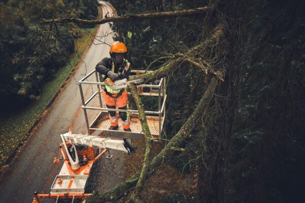 MSA 190 T Cordless Chainsaw - AP System - Image 8