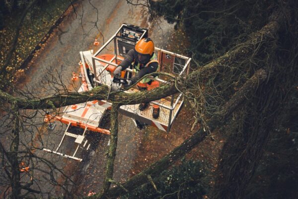 MSA 190 T Cordless Chainsaw - AP System - Image 9