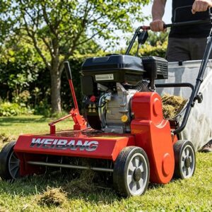 Lawn Scarifiers